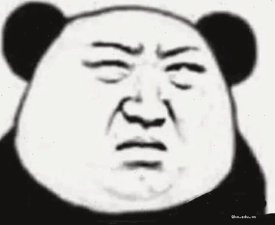 Meme gấu trúc thể hiện sự khinh bỉ tinh tế