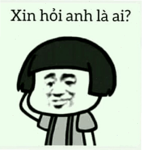 Meme gấu trúc với biểu cảm ngơ ngác khó đỡ