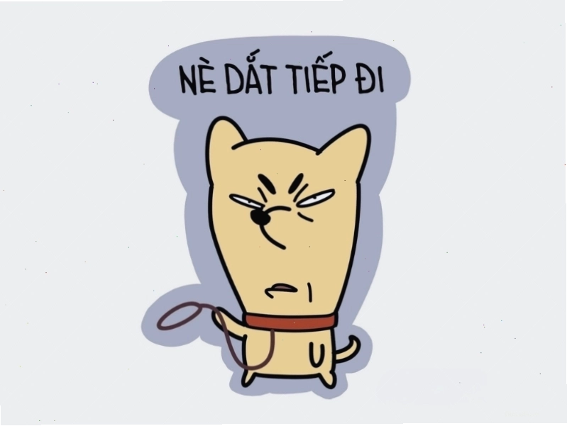Meme mèo hài hước với câu nói độc đáo "Meme nè đắt tiếp đi"