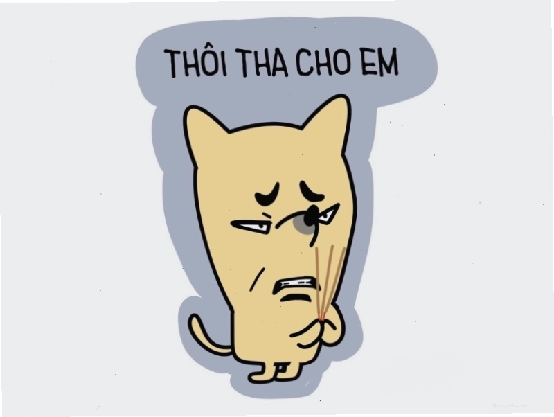 Meme mèo với câu nói "thôi tha cho em" đầy biểu cảm