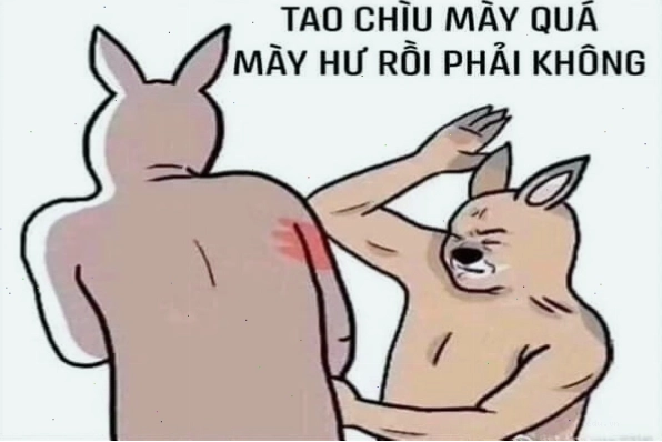 Meme người thỏ đánh bạn