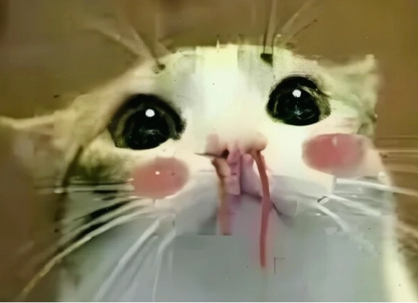 Meme phụt máu mũi thể hiện sự bất ngờ