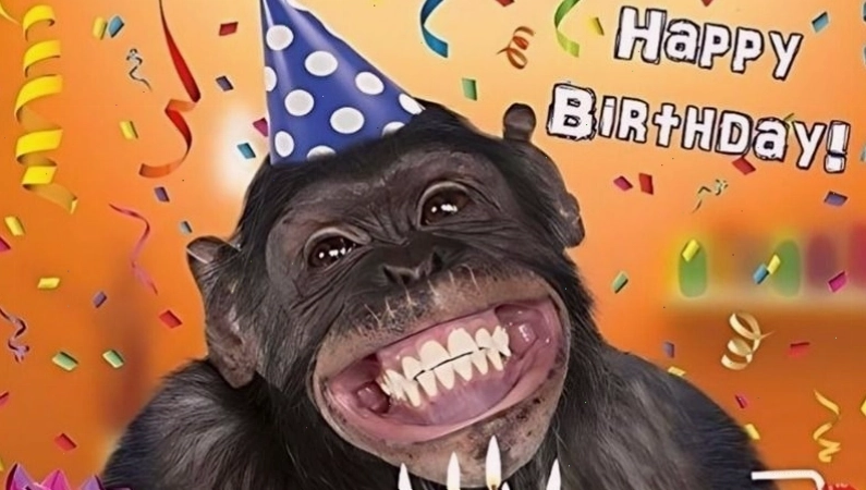 Meme sinh nhật hình ảnh chú chó với lời chúc chân thành