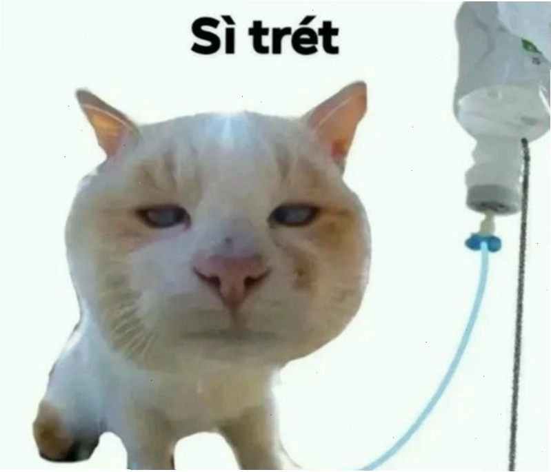 Meme suy nghĩ về các mối quan hệ xã hội