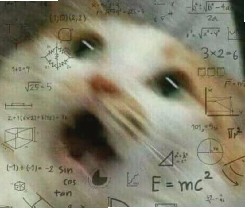 Meme suy nghĩ về một kế hoạch dài hạn