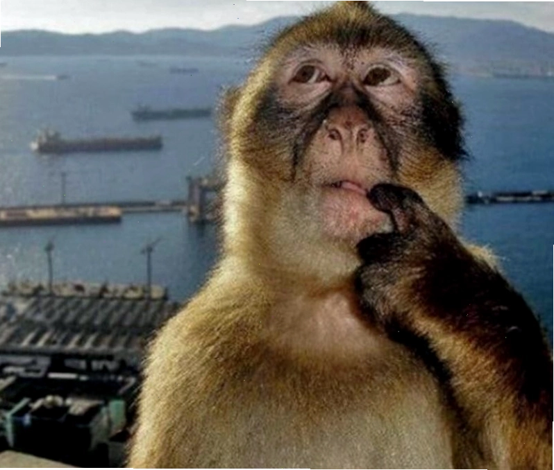 Meme suy nghĩ về những quyết định khó khăn