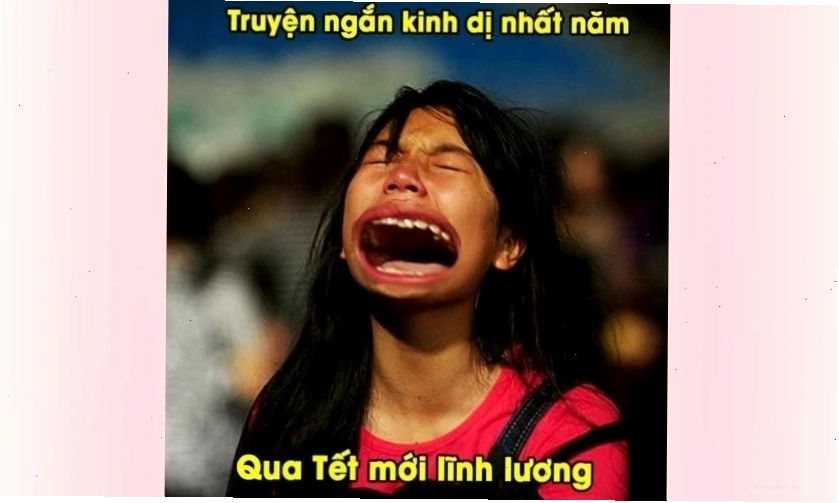 Meme tết 2026 vui nhộn