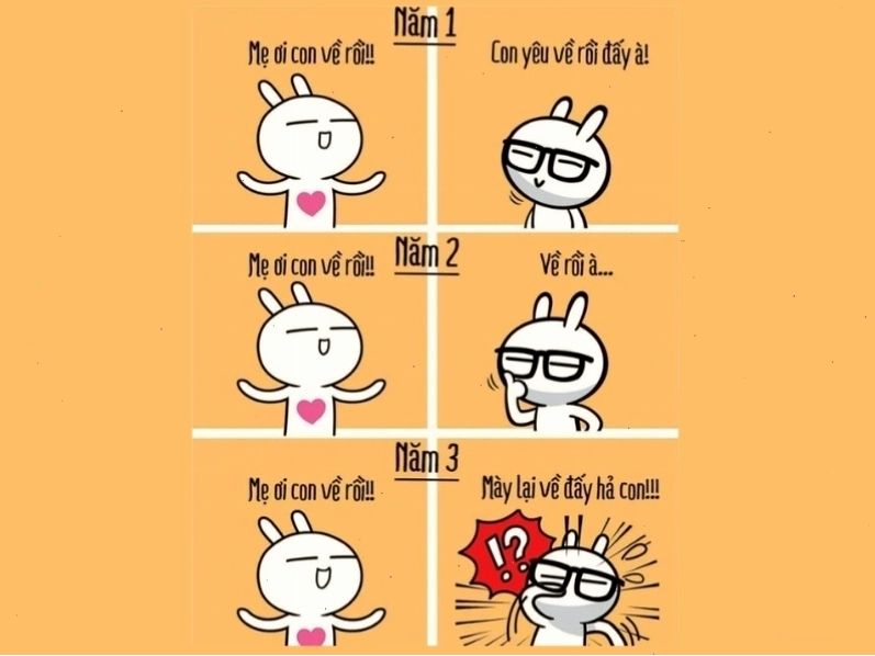 Meme "thái độ phụ huynh 3 năm đại học với con"