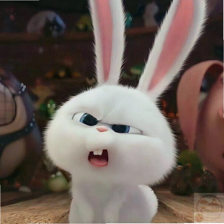 Meme thỏ Snowball với dòng chữ hài hước