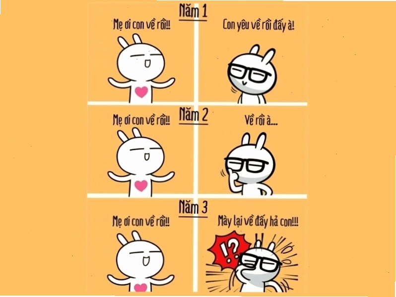 Meme về thái độ phụ huynh dành cho con sau 3 năm đại học
