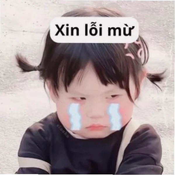 Meme với màu sắc tươi sáng và nội dung hài hước