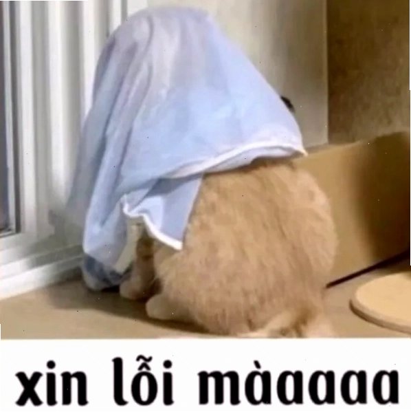 Meme với thông điệp ý nghĩa