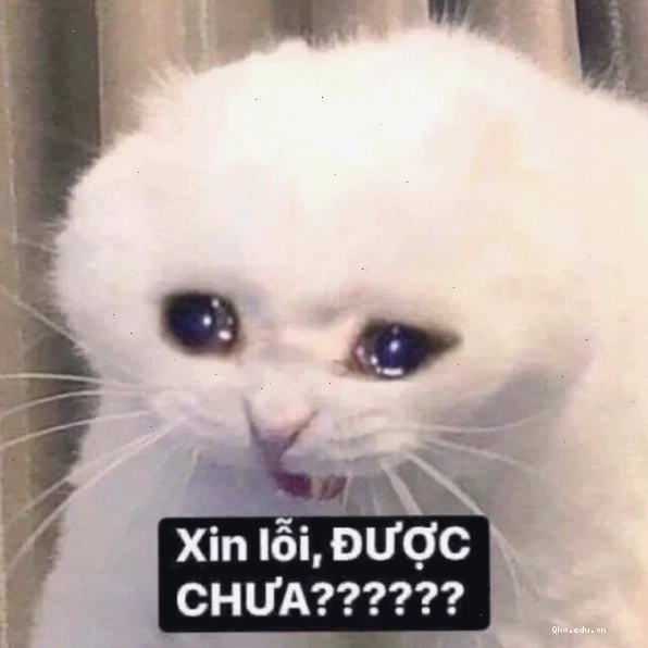 Meme với ý nghĩa sâu sắc ẩn sau vẻ ngoài hài hước