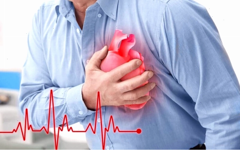 Minh họa bắp cải tím tốt cho sức khỏe tim mạch