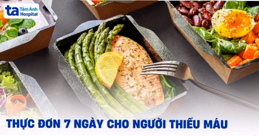 Minh họa thực đơn 7 ngày cho người thiếu máu với các món ăn giàu dinh dưỡng