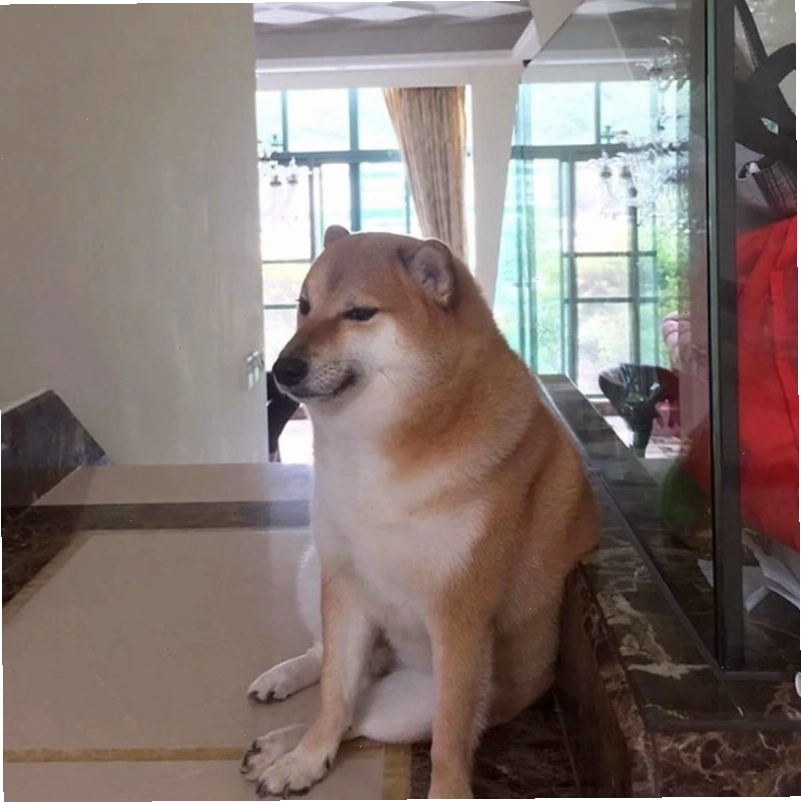 Một meme phổ biến của Cheems thể hiện sự hài hước, dí dỏm