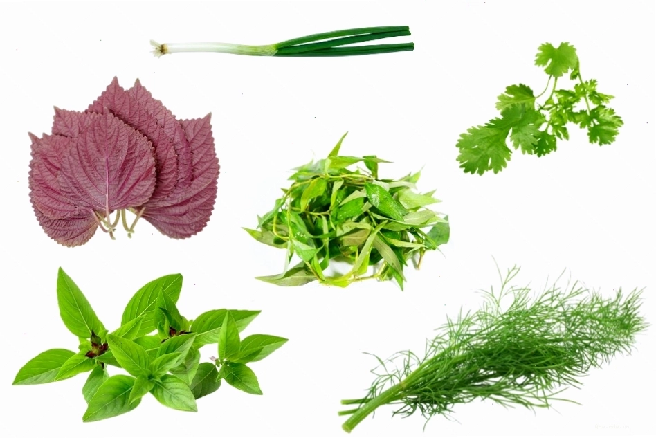 Những loại gia vị có nguồn gốc từ lá cây rất đa dạng trong ẩm thực