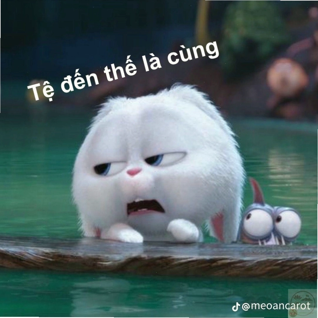 Nội dung chế Snowball meme gần gũi