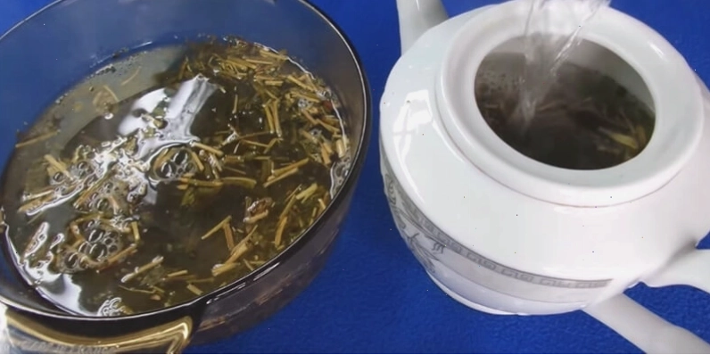 Pha trà và ngâm trong nước sôi