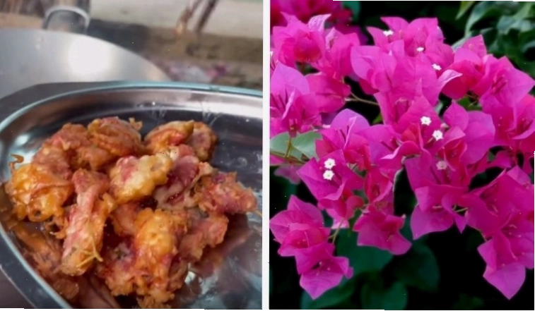 Rau củ chiên giòn lạ miệng