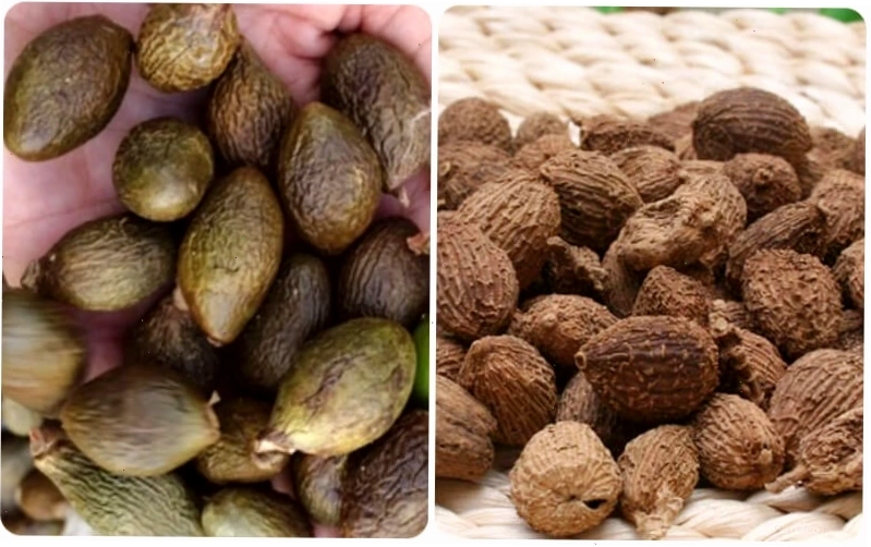 Sa nhân là quả của cây sa nhân, thuộc họ gừng, có mùi thơm đặc trưng