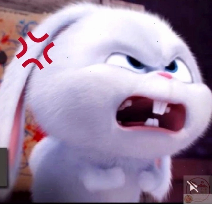 Snowball meme kết hợp đáng yêu và hài hước