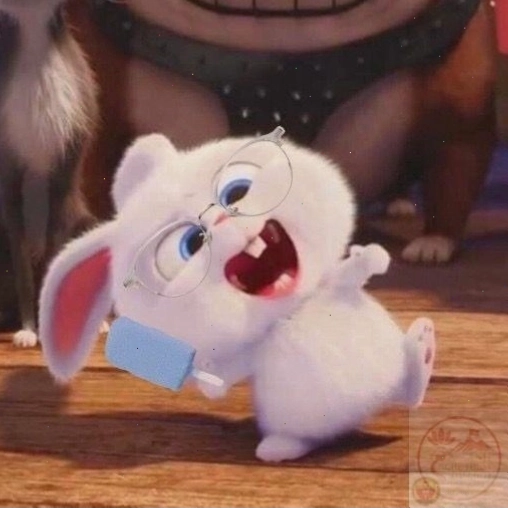 Snowball meme làm không khí trò chuyện trở nên nhẹ nhàng