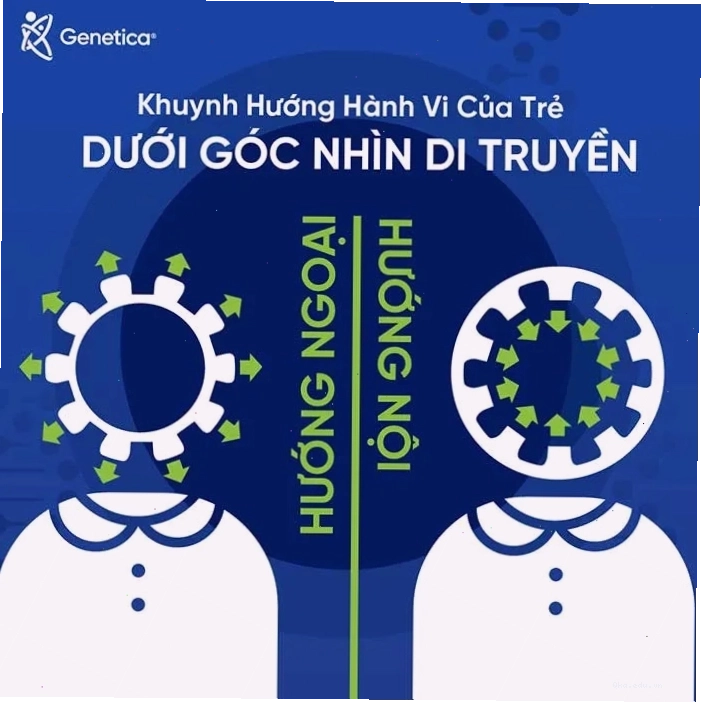 Sự tĩnh lặng là nguồn cảm hứng của người hướng nội