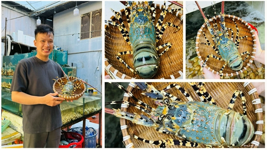Thịt tôm hùm bông săn chắc và trắng ngần