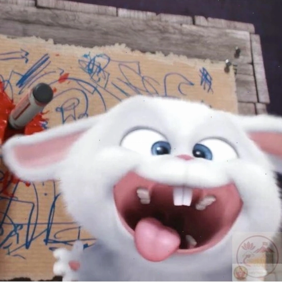 Thỏ Snowball meme với biểu cảm đầu gấu