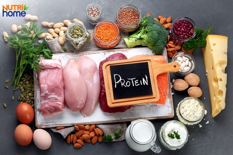 Thực phẩm bổ máu giàu protein