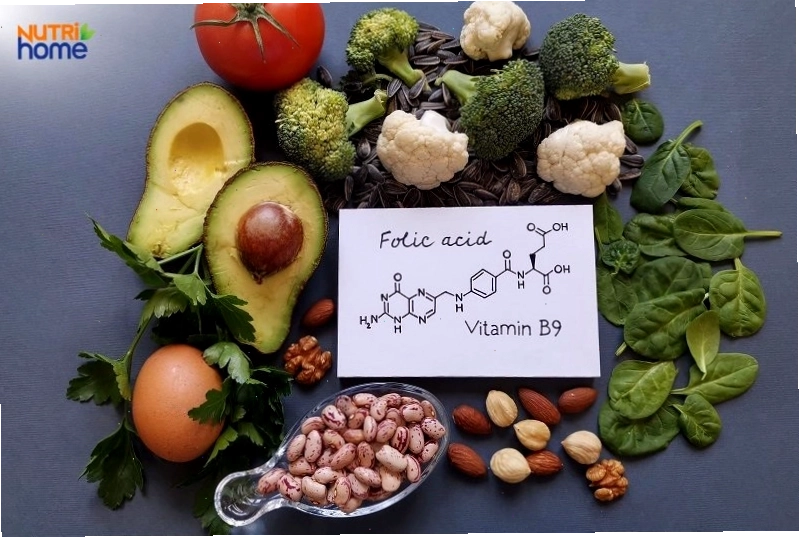 Thực phẩm giàu folate và vitamin B12 tốt cho máu