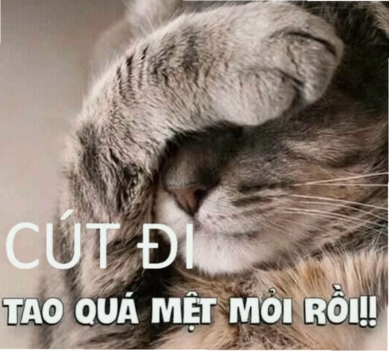 Tìm hiểu Sức hút của meme cút