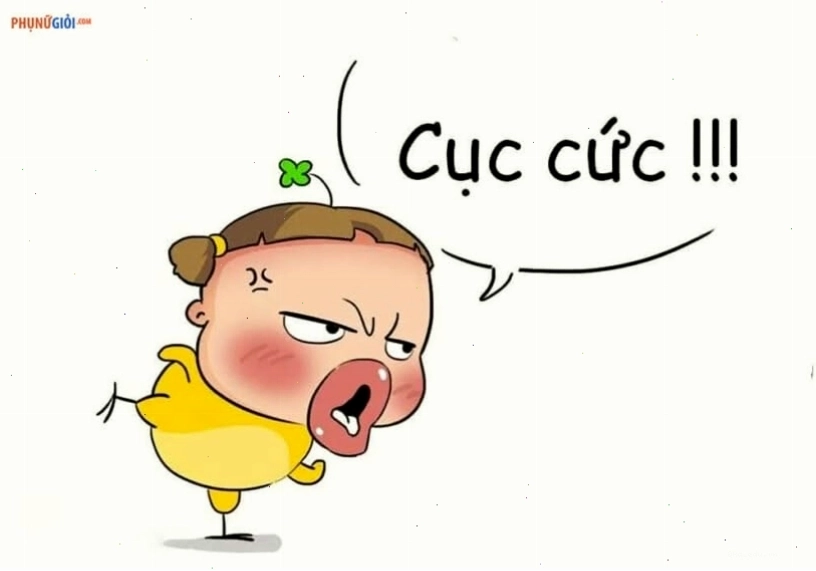 Tổng hợp ảnh avatar hài bựa vui nhộn và độc đáo
