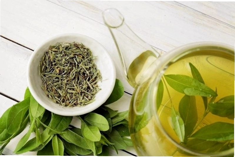 Trà xanh đồ uống healthy phổ biến nhất