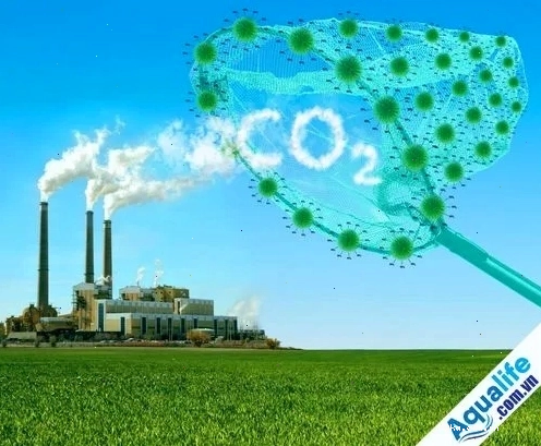 Các biện pháp khắc phục hiệu ứng nhà kính giúp bảo vệ môi trường sống