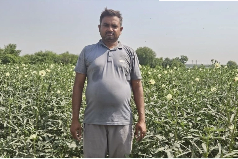 Indian farmer checking weather alerts on a mobile device in a field