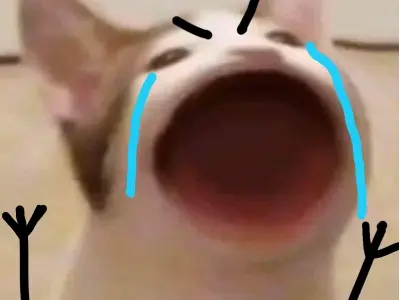 Top meme mèo hot nhất, hài hước khiến bạn cười sảng khoái