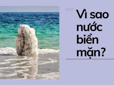 Kinh nghiệm giải thích hiện tượng tại sao nước biển mặn