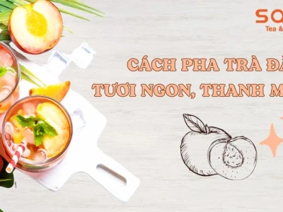 Bí quyết pha chế trà đào thơm ngon chuẩn vị kinh doanh 2026