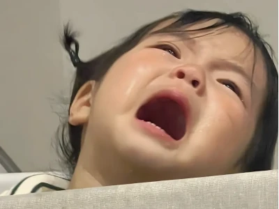 BST Meme Mèo Khóc Và Ảnh Chế Động Vật Hài Hước Nhất 2026