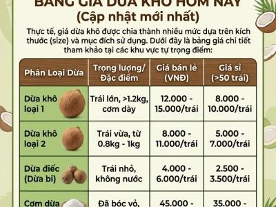 Giá dừa khô hôm nay tại Bến Tre cập nhật mới nhất 2026