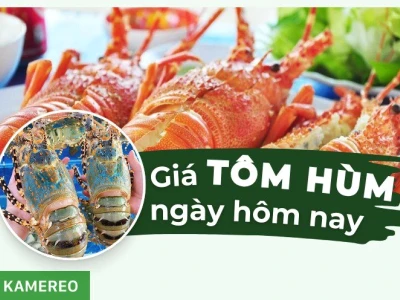 Giá Tôm Hùm Bông Hiện Nay: Hướng Dẫn Chọn Mua Tươi Ngon, Chuẩn Vị
