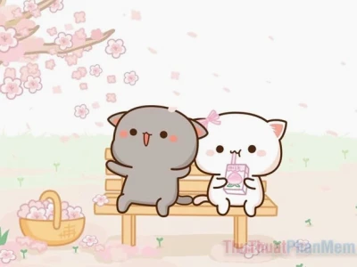 Khám Phá 80+ Avatar Đôi Mèo Cute: Biểu Tượng Ngọt Ngào Cho Cặp Đôi