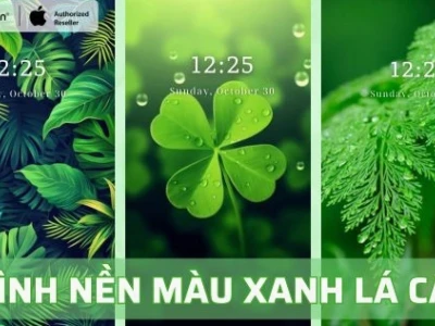 Khám phá bộ sưu tập avatar anime xanh lá tươi trẻ và phong cách