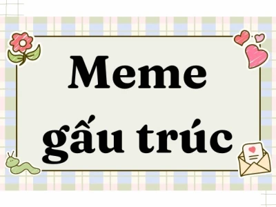 Khám phá bộ sưu tập meme gấu trúc hài hước và bựa lầy
