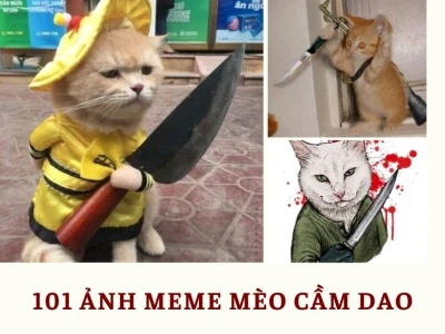 Khám Phá Thế Giới Meme Mèo Cầm Dao Độc Đáo và Hài Hước