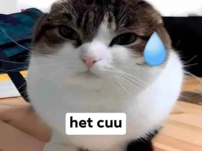 Khám Phá Top Meme Nhạt Nhẽo Hài Hước Nhất 2026