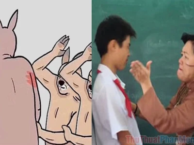 Meme Đập Đầu 2026: Tổng hợp biểu cảm hài hước khi não 'lag'