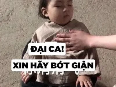Meme Em Bé Dễ Thương Nhất Hành Tinh: Cười Nghiêng Ngả Với Bộ Sưu Tập 2026
